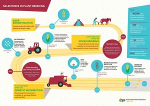 Plant Breeding – International Seed Federation