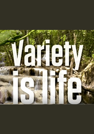variety-is-life