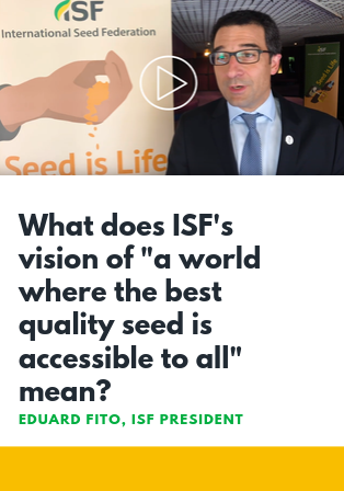 Eduard Fito on ISF vision