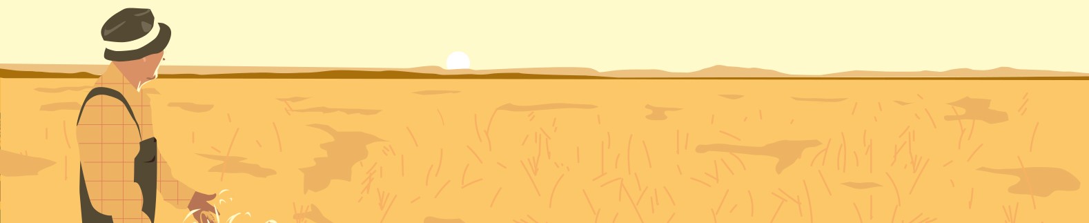 Farmer wheat