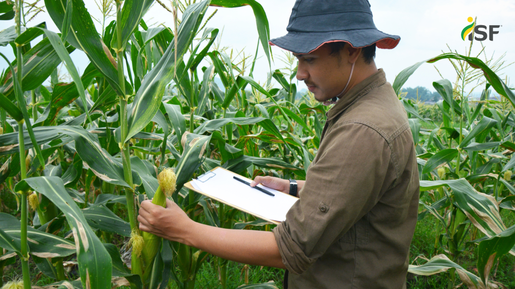 field inspection