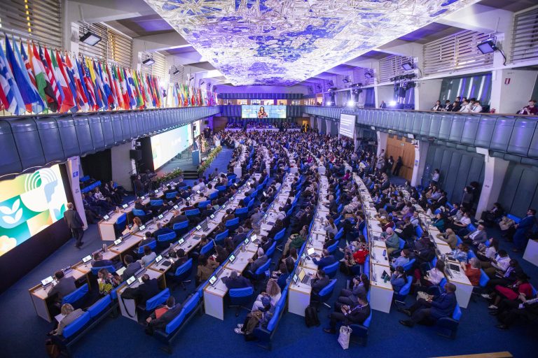 ISF representatives at the World Food Forum 2025 in Rome, discussing innovation and sustainability in the seed sector.